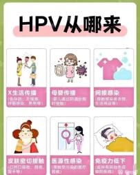 抗HPV生物凝胶