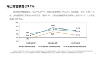 2024年上半年我国电子商务发展情况报告（附下载）